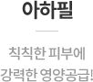 아하필